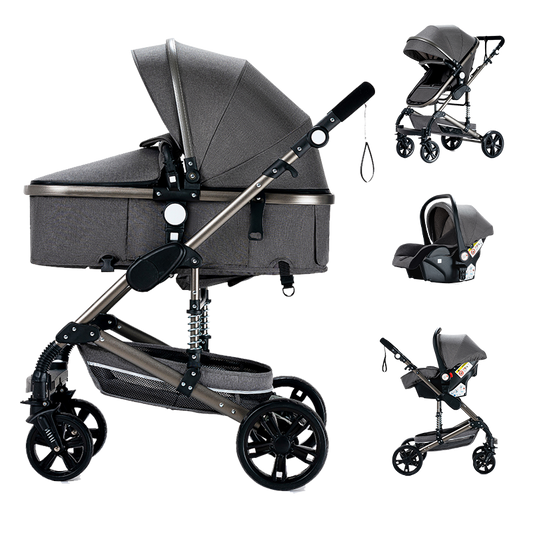 Sianldcone R739 3-in-1 Stroller and Car Seat Combo