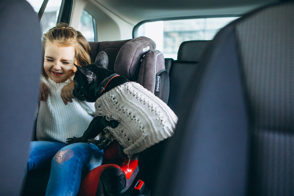 A young girl and a small dog wearing a sweater are sitting in a car seat in a car.