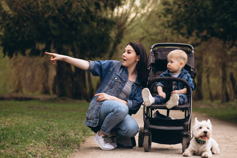 A mother in a denim jacket points something out to her toddler sitting in a baby stroller on a park path with their dog.