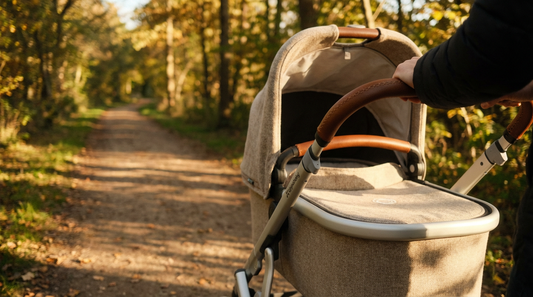 The "Heirloom" Stroller: Selecting Gear Built to Last Generations