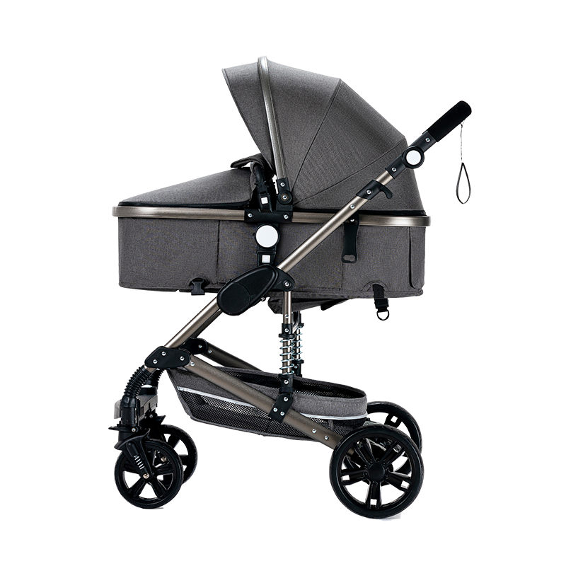 Sianldcone R739 Stroller and Car Seat Combo, grey color